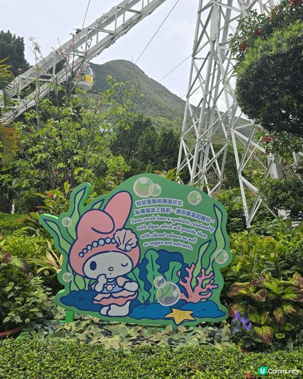 最愛的kuromi 貪玩去了海洋公園, 作為fans 的我當...