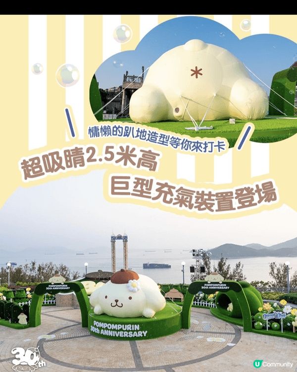 布甸狗，因為很可愛，