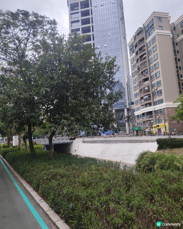 輕鬆慢步感受大自然，