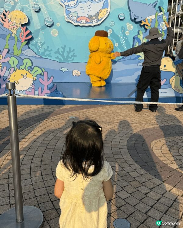 我超喜歡這三隻Sanrio角色！