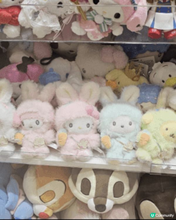 此店舖是我家孩子十分喜歡地方 ，有 melody ，人魚漢頓...