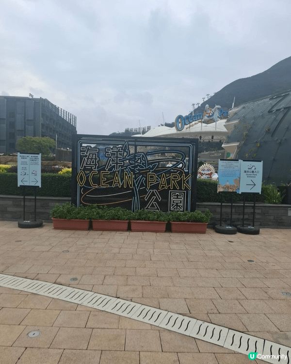 三丽鸥代表友好和平幸福传达的是简单又真诚的爱