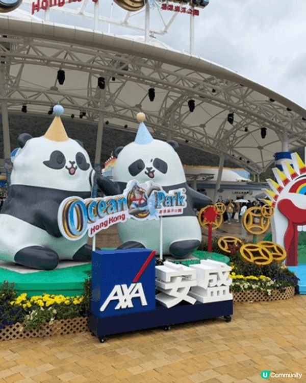 最佳打卡點就是海洋公園大熊貓之旅，看見熊貓吃睡打架就是輕鬆療...
