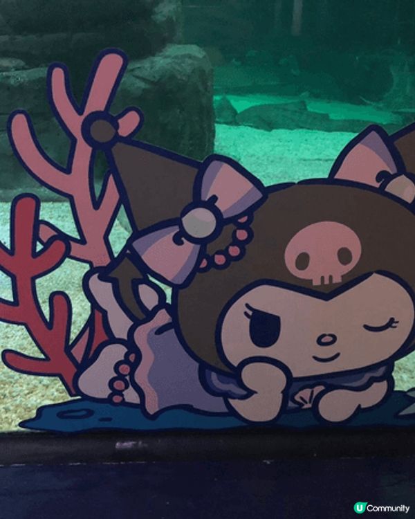 海洋公園新主題sanrio,真係好靚，仲有靚靚銅幣，真係好想...