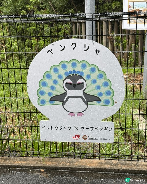 日本福岡嘅海之中道真係好適合鍾意小動物嘅朋友去玩 無論係大朋...