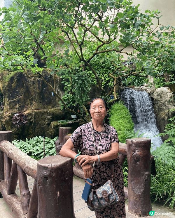Hong Kong Park is a beautiful ...