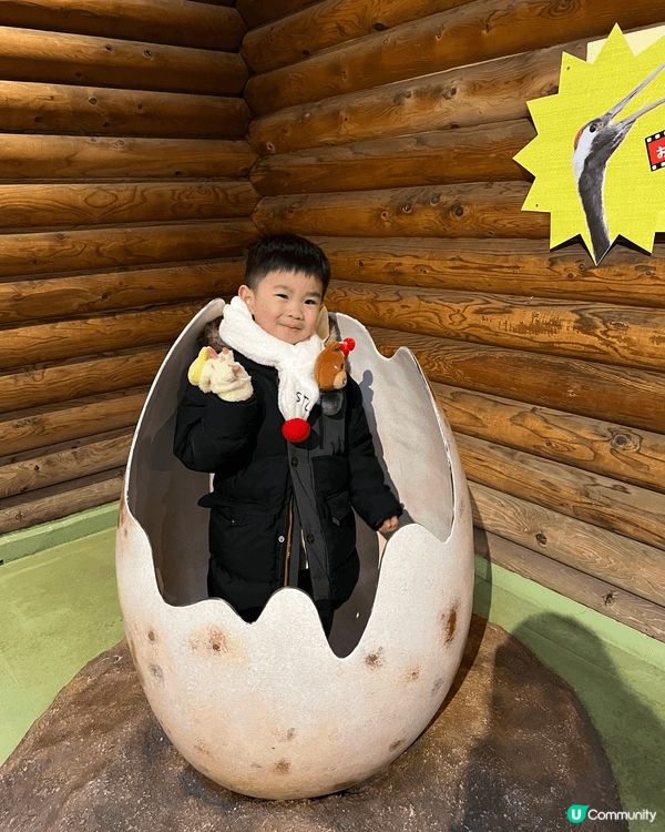 這是在日本天王寺動物園拍的照片，因為小朋友非常喜歡看動物，特...