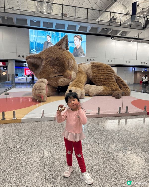 去完旅行返嚟，梗係要同香港機場嘅巨型貓貓合照，真係好可愛，好...