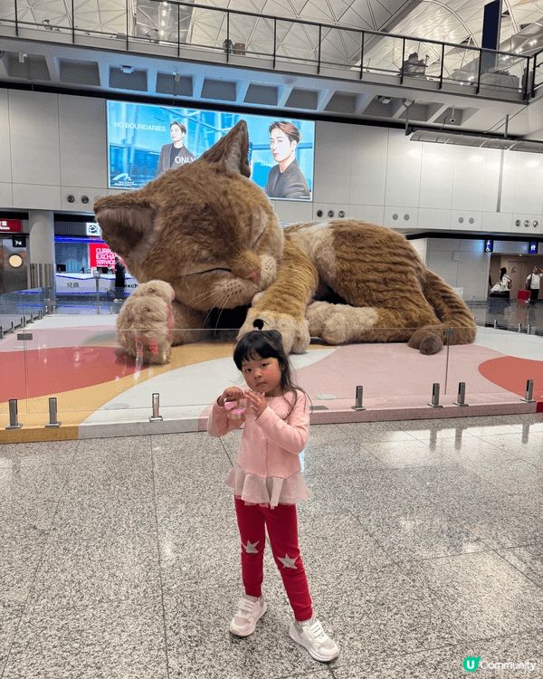 去完旅行返嚟，梗係要同香港機場嘅巨型貓貓合照，真係好可愛，好...