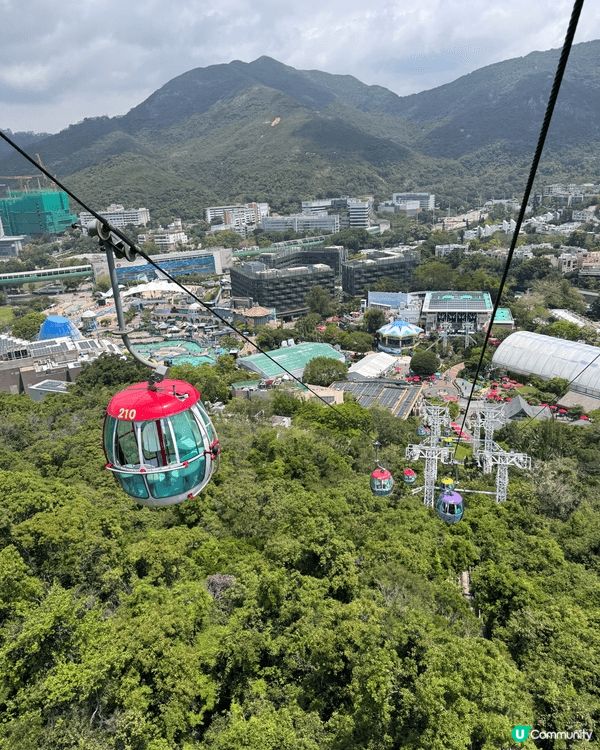 香港人的回憶-海洋公園，有刺激的機動遊戲，也有可愛的動物，每...
