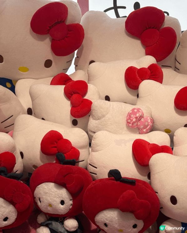 Hello Kitty and Kuromi forever...