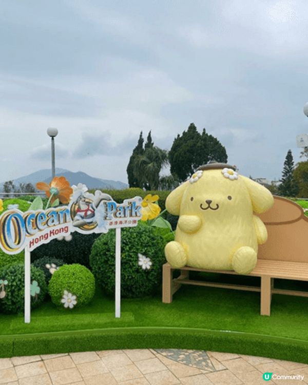 Pompompurin（布丁狗），牠是一隻黃色的狗狗，頭上戴...
