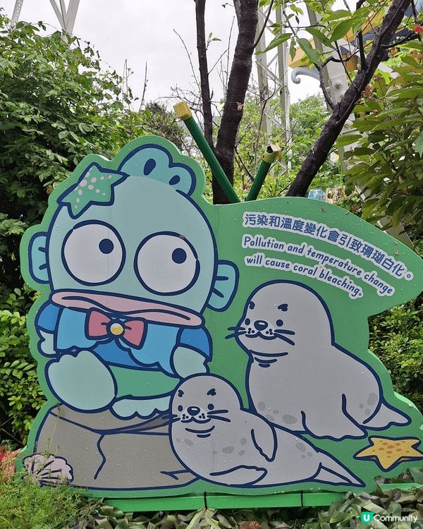 今個週末同屋企人去咗海洋公園玩，真係由朝到晚都咁精彩！除咗睇...