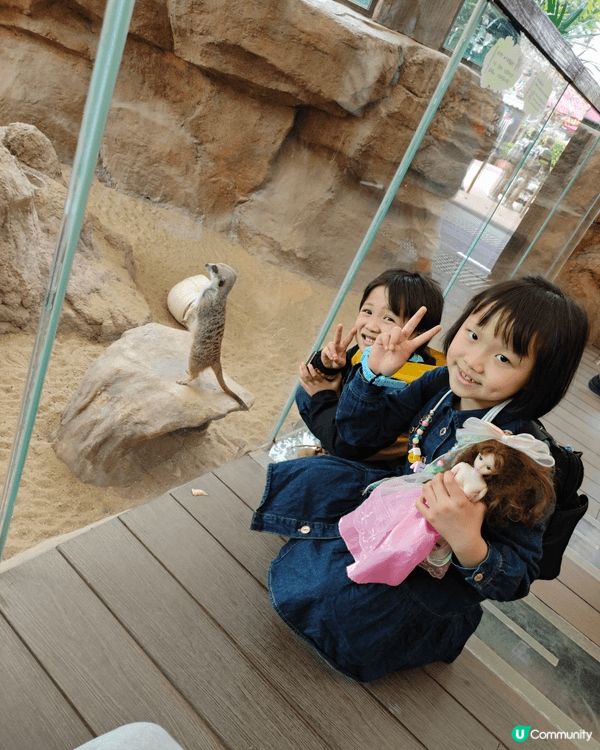 海洋公園真的是親子時光好去處，兩個小朋友每次都好喜歡去海洋公...