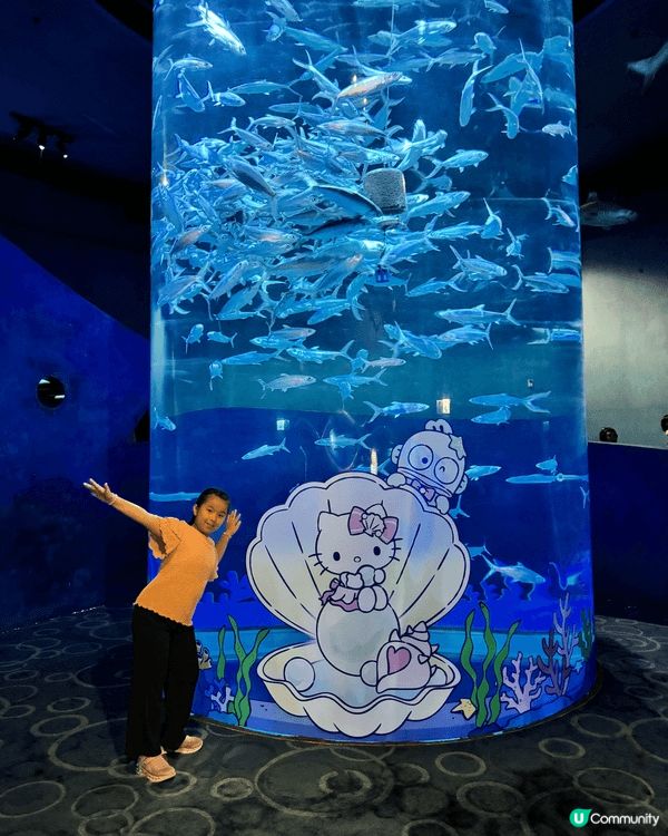 海洋公園竟然變咗Sanrio海洋樂園？🩵🐬