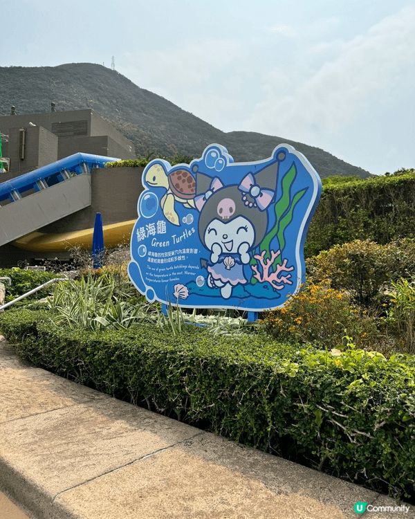 海洋公園竟然變咗Sanrio海洋樂園？🩵🐬