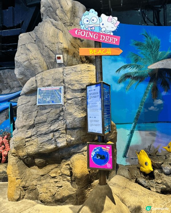 海洋公園竟然變咗Sanrio海洋樂園？🩵🐬