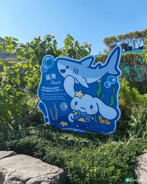 海洋公園竟然變咗Sanrio海洋樂園？🩵🐬