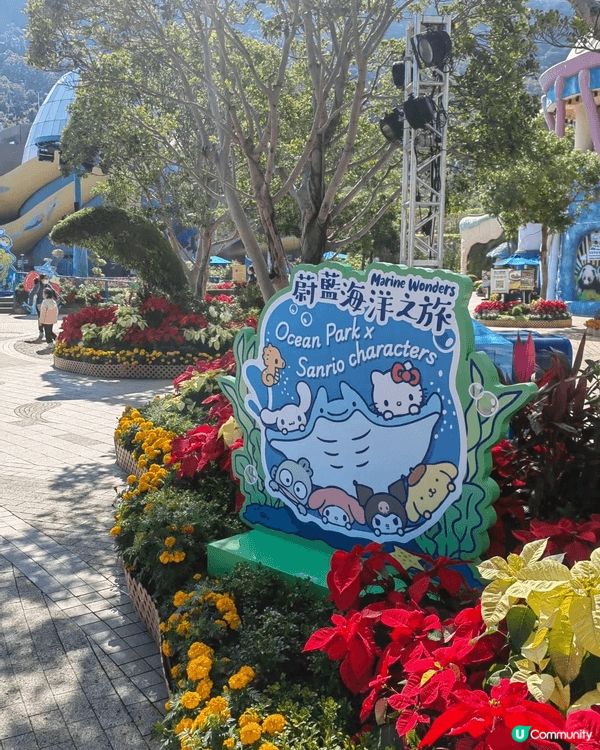 海洋公園竟然變咗Sanrio海洋樂園？🩵🐬