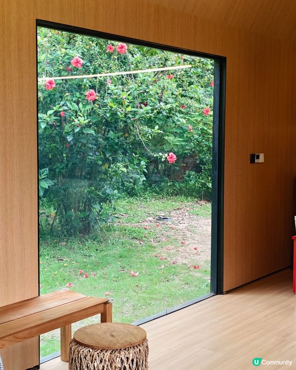 深圳必去cafe ☕外國風小木屋 