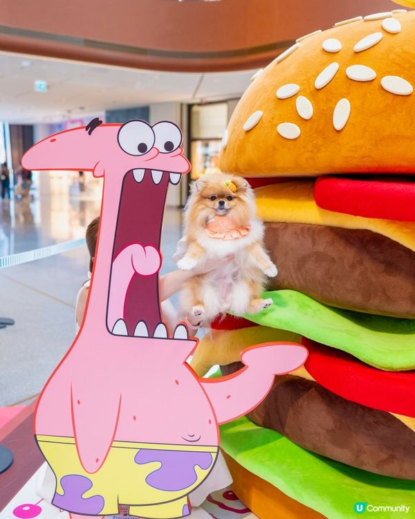 🍔 米蘇蘇闖入比奇堡!海底世界大冒險 🌊