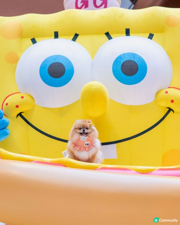 🍔 米蘇蘇闖入比奇堡!海底世界大冒險 🌊