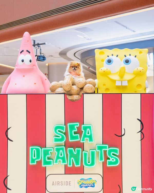 🍔 米蘇蘇闖入比奇堡!海底世界大冒險 🌊