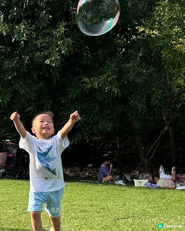 初夏的西九野餐