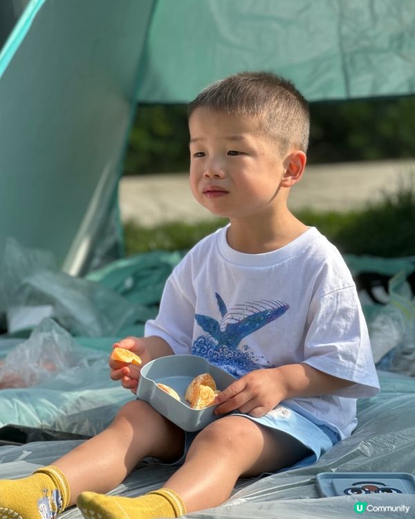 初夏的西九野餐