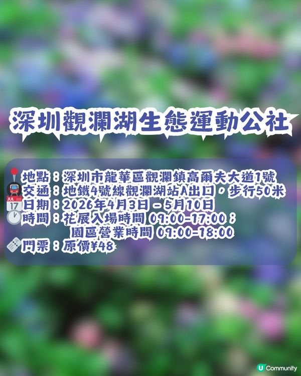 深圳龍華區首屆繡球花展🌸逾5000株繡球花！舉行至5月10日