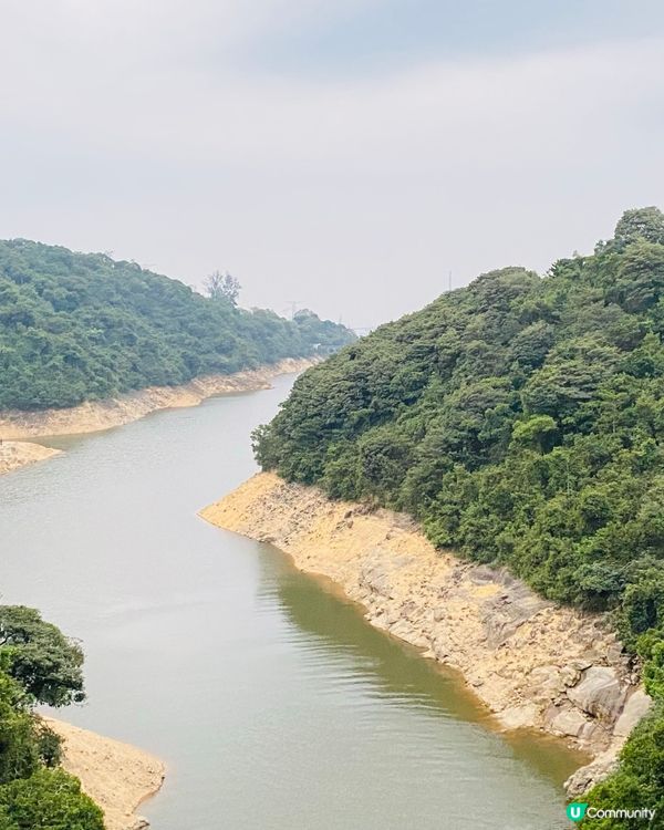 巴士直達！🌳金山賞景🌿