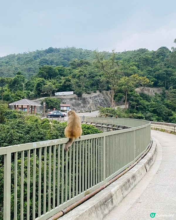 巴士直達！🌳金山賞景🌿