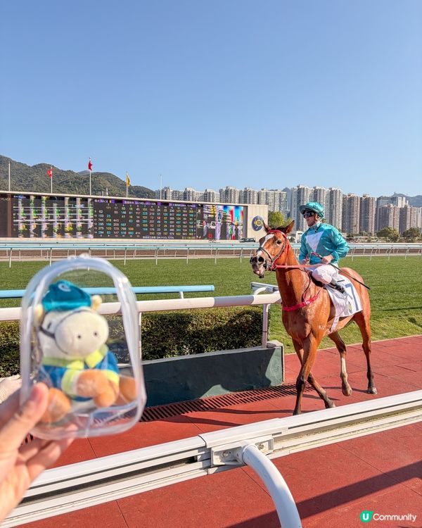 週末好去處🤩沙田馬場天馬驛Fudo Town有得食有得玩🐎...