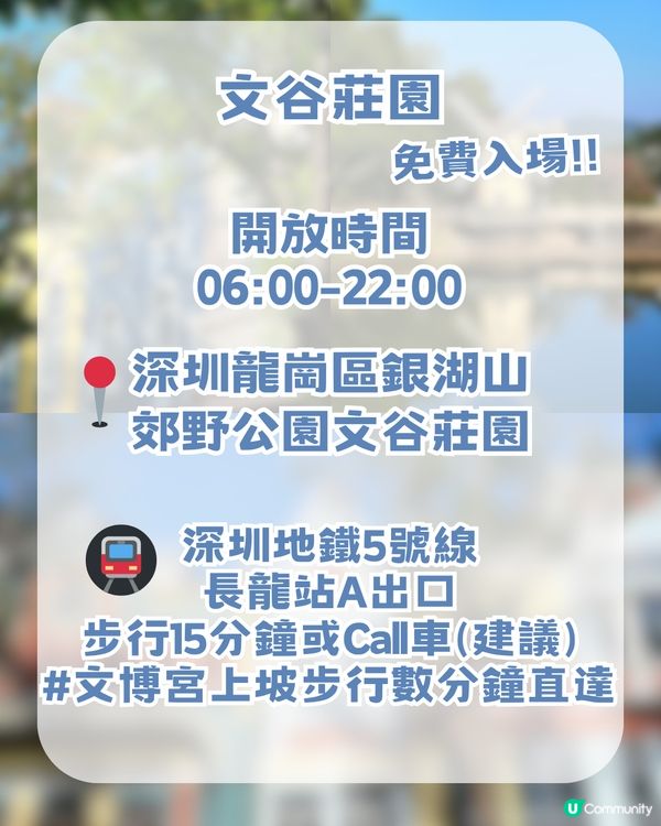 深圳布吉超chill復古藝術一日遊! 深圳小故宮/油畫聖地/深圳姆明主題展
