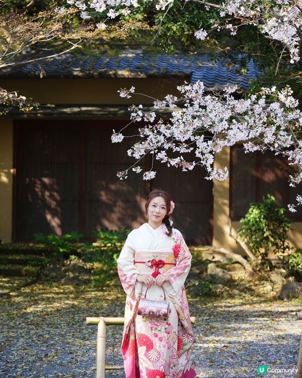 在京都影到人生照👘🌸和服599 攝影套餐