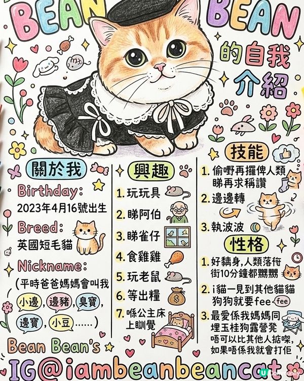 Bean Bean的自我介紹