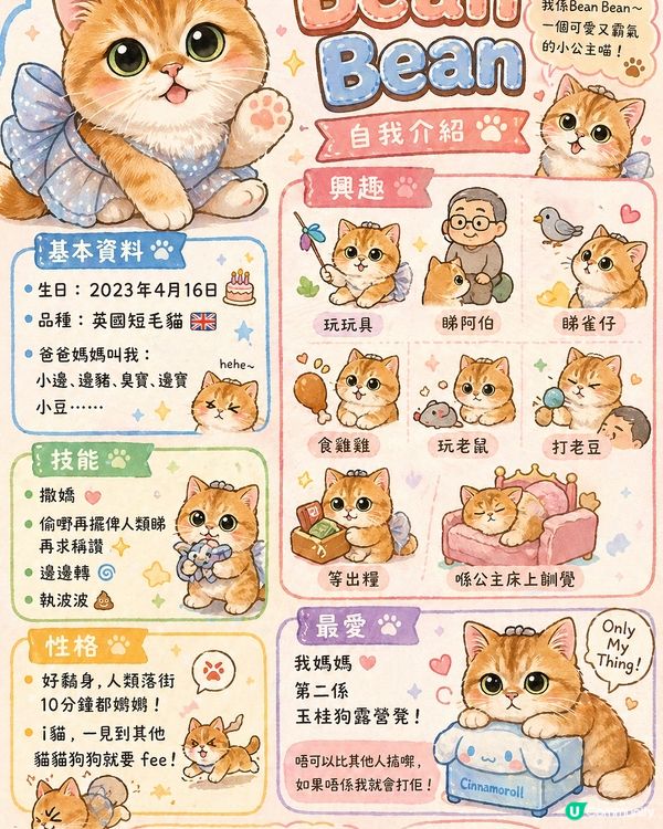 Bean Bean的自我介紹