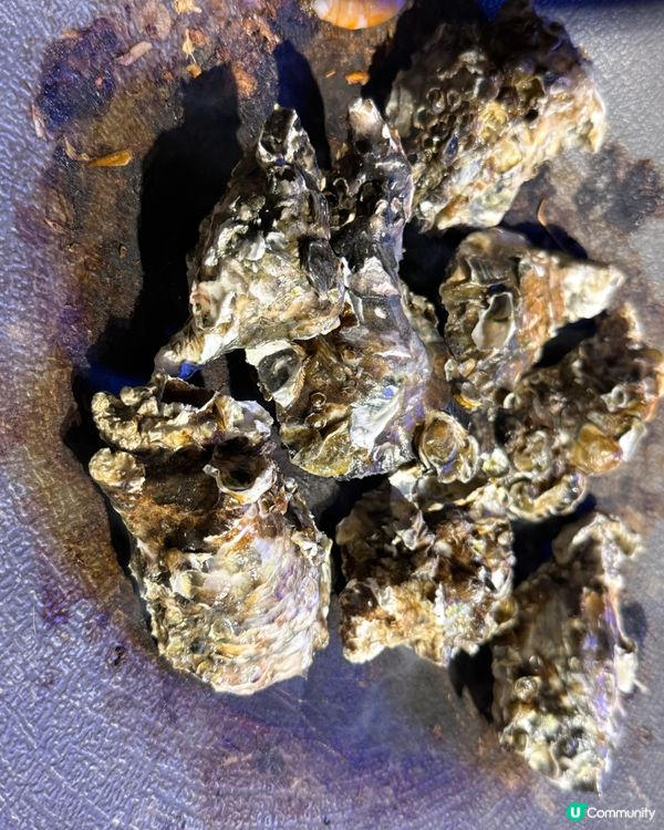 台中任食海鮮，有大頭蝦，鮑魚，生蠔，東風螺