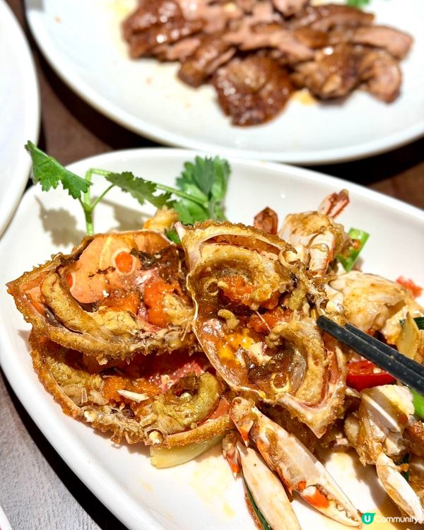 皇庭廣場新開潮汕大排檔堅正🤩