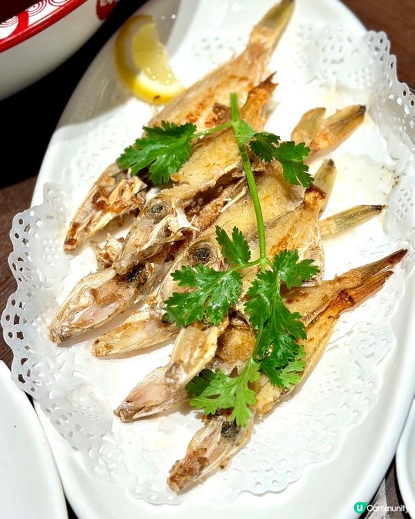 皇庭廣場新開潮汕大排檔堅正🤩