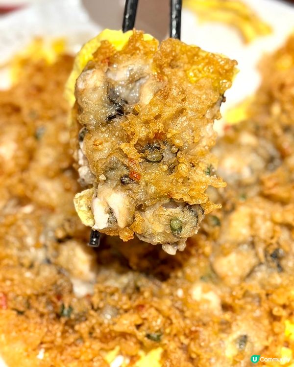 皇庭廣場新開潮汕大排檔堅正🤩