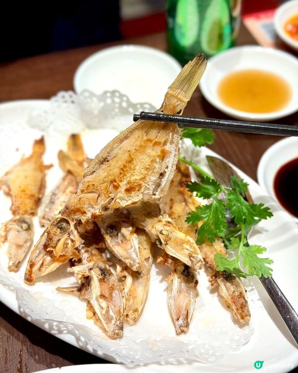 皇庭廣場新開潮汕大排檔堅正🤩