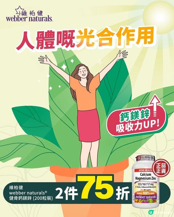 【鈣鎂鋅吸收力UP🆙】