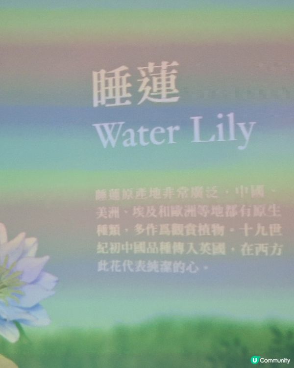 園美生活- 我推的