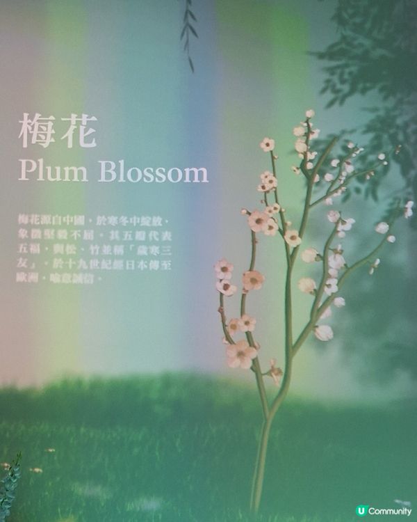 園美生活- 我推的