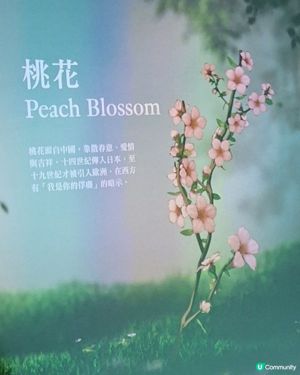 園美生活- 我推的
