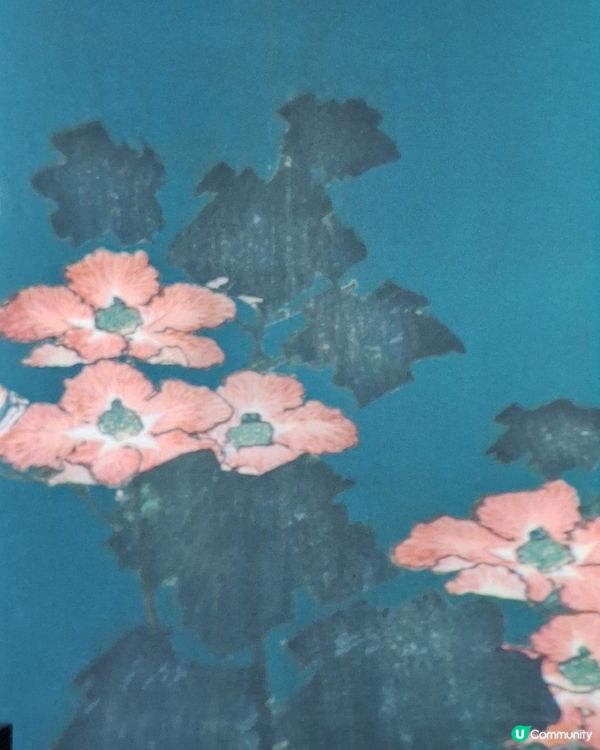 園美生活- 我推的