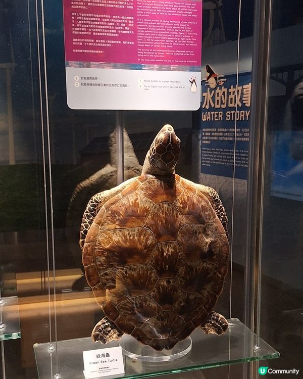 被遺忘的地下展廳
