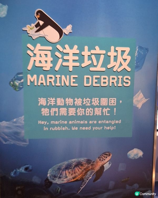 被遺忘的地下展廳