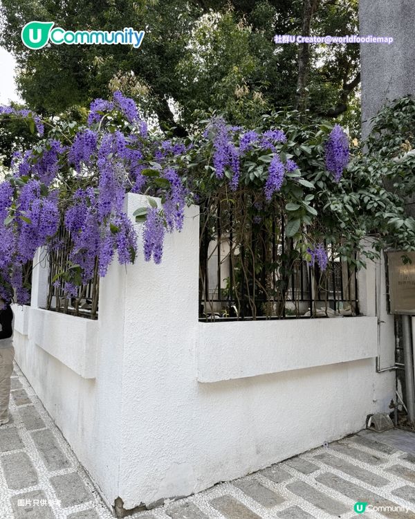 【深圳賞花地圖2026】深圳6大賞花景點推介🌺地鐵直達馬鞭草花海／仿荷蘭風車小鎮／夢幻繡球花展                                                     